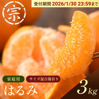 【宗方印】【数量限定】はるみ 約3kg(家庭用)【K003580K3】【1676978】