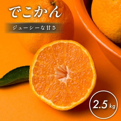 【先行予約】【数量限定】ホリ田ヤ でこかん 2.5kg【K002430】【1655215】
