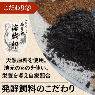 【毎月定期便】【愛媛産】海賊卵【烏骨鶏卵】12個【VE00840】全6回【配送不可地域：離島】【4073181】