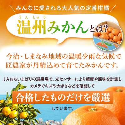 ãå
è¡äºçŽãæž©å·ã¿ãã 10kg L~Sãµã€ãºãJAéžæåãKC00760ãã1648538ã