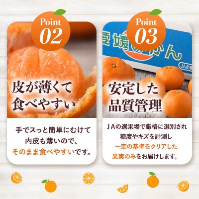 ãå
è¡äºçŽãæž©å·ã¿ãã 10kg L~Sãµã€ãºãJAéžæåãKC00760ãã1648538ã