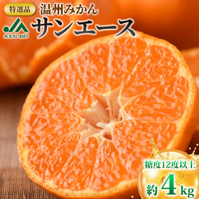 ãå
è¡åä»ãç¹éž ãã©ã³ãæž©å·ã¿ããããµã³ãšãŒã¹ã4kg é«ç³åºŠ ã¿ãã KB02210ãé
éäžå¯å°åïŒé¢å³¶ãã1304859ã