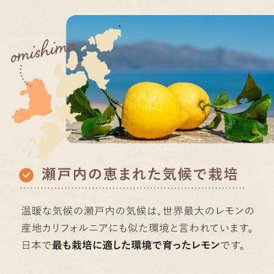 【数量限定】ホリ田ヤ 皮ごと食べられる島育ちレモン2.5kg【K002450】【1655217】