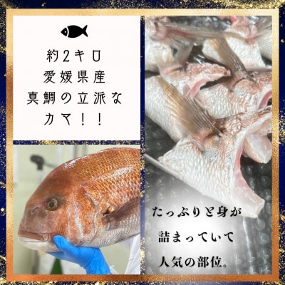 縺輔°縺ェ繧縺ョ縺セ縺九↑縺鬟滓攝縲先帛ェ帙ョ逵滄ッ帙醍函鬟溽畑蛻繧願誠縺ィ縺1繝代ャ繧ッ莉倥″縲新001740縲代宣埼∽ク榊庄蝨ー蝓滂シ夐屬蟲カ縲代1658954縲