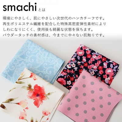 smachi(スマチ) ノンアイロンハンカチ レディース 2枚 Aセット【VB01451】【1395292】
