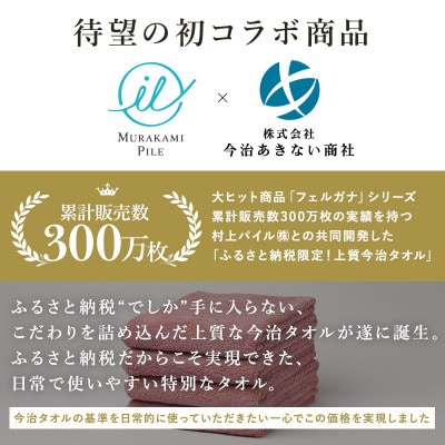 ふるさと納税限定上質今治タオルビックフェイスタオル4枚セットクラウドブルー I003390FT4CB【1631338】