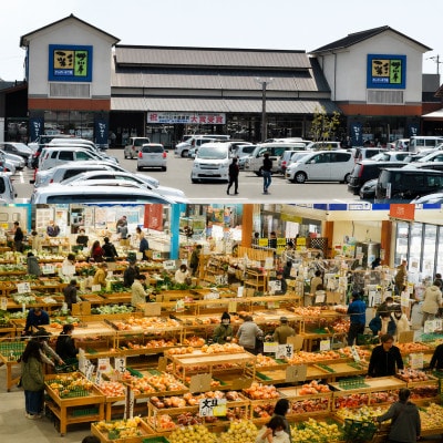 しまなみ彩野菜セット(今治産野菜の詰合せ)【VB00100】【配送不可地域：離島】【1002351】