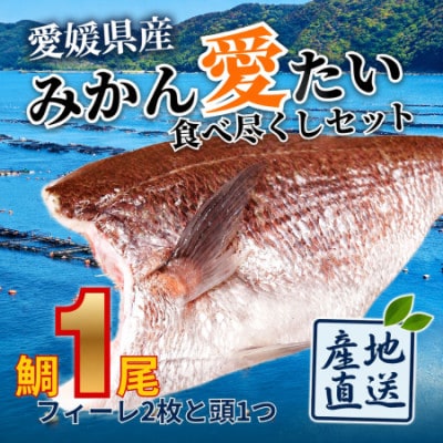 みかんの風味が詰まった愛媛県の公認ブランド 「みかん愛たい」食べ尽くしセット【配送不可地域：離島】【1738238】
