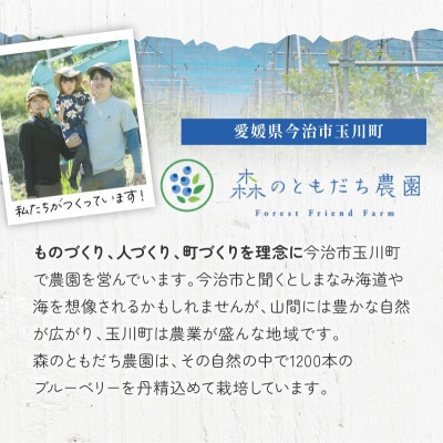 冷凍ブルーベリー(スタンディングパック)150g×3パック [VB00780]【配送不可地域：離島】【1649380】