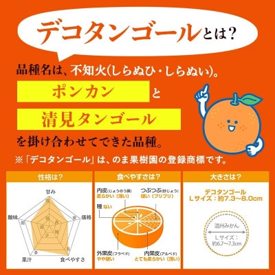 のま果樹園のデコタンゴール(3kg)[K003680K3]【1721909】