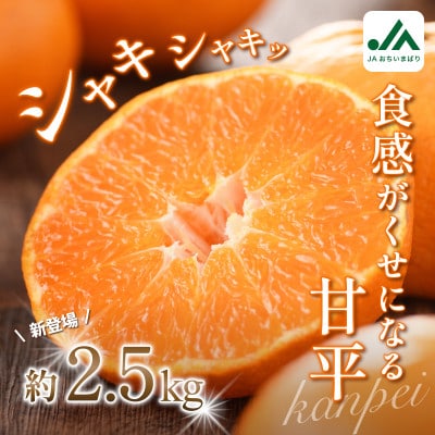 【先行予約】甘平 2.5kg 家庭用 高級柑橘 甘い 小箱 愛媛県オリジナル品種【配送不可地域：離島】【1738867】