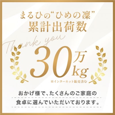 【ふるさと納税】令和7年産 愛媛県産 ひめの凜 10kg 【V003290K10】【1682398】