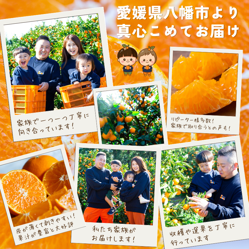 【先行受付】【果汁あふれる】とろ甘食感 はるみ　5kg　愛媛県産【49-120】【1741172】 YWTZ091