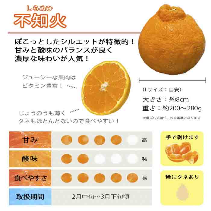 縲仙郁。悟女莉倥代瑚患驢縲榊ォ蟷。豬懃肇縺励i縺ャ縺邏4kg縲燭28-7縲代1119942縲 YWTN004