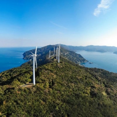 甘夏&サンフルーツ各5kg【訳あり】【C20-19】【1094577】