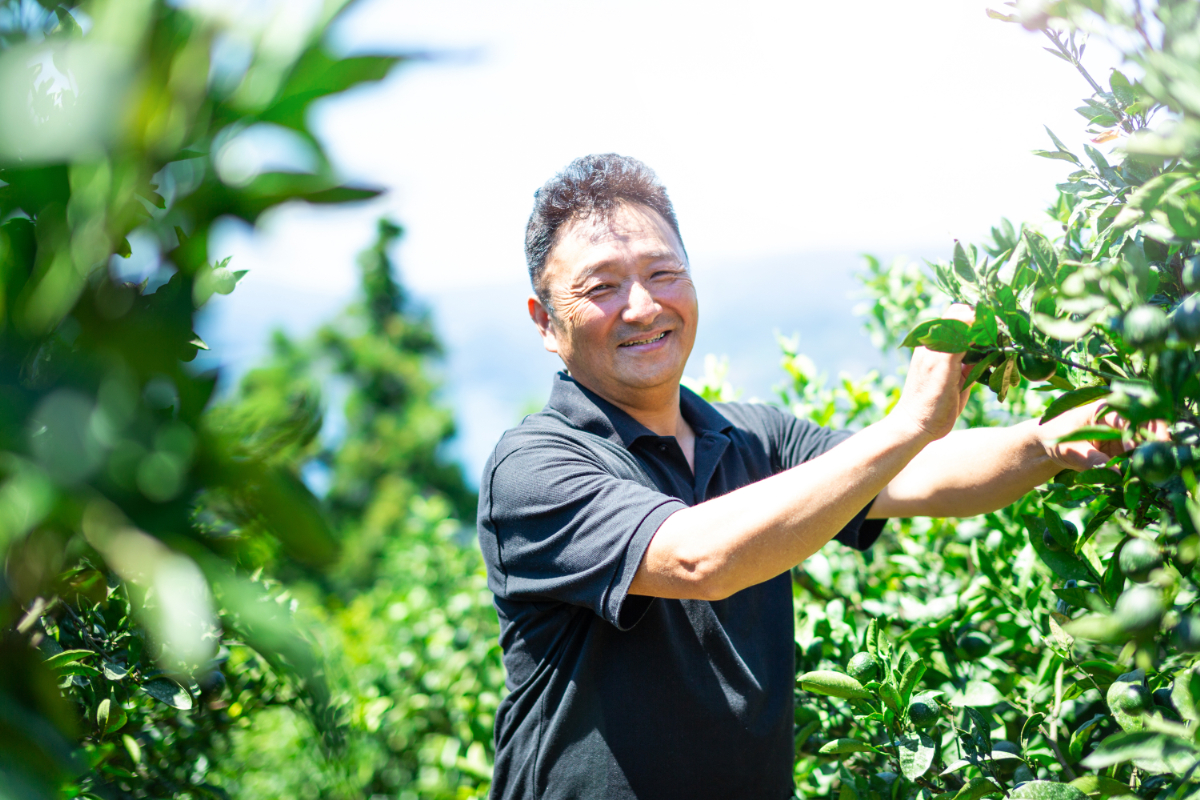 「玉宝ブランド」【まどんな】2kg　※紅まどんな と同品種　【D64-40】【1511382】 YWTY029