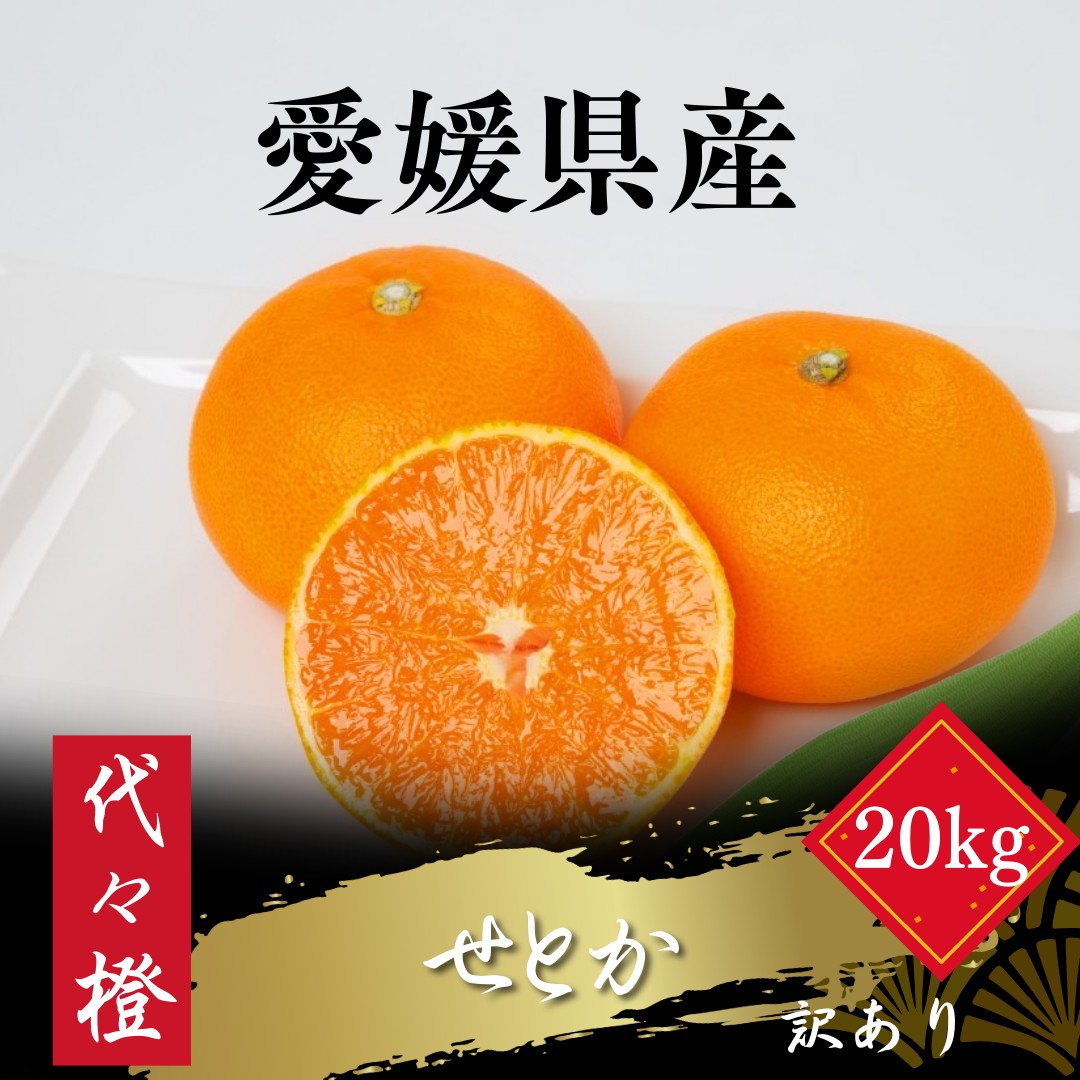 【先行受付】【最高の旨みと香りが詰まった】代々橙せとか【訳あり】20kg【H83-42】【1623759】 YWTW042