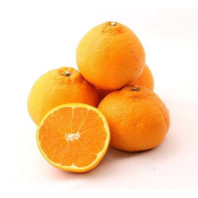 ããã¿ãžã¥ãŒã¹ãšããã¬ããžã¥ãŒã¹ã®ã»ãããC19-10ãã1059654ã