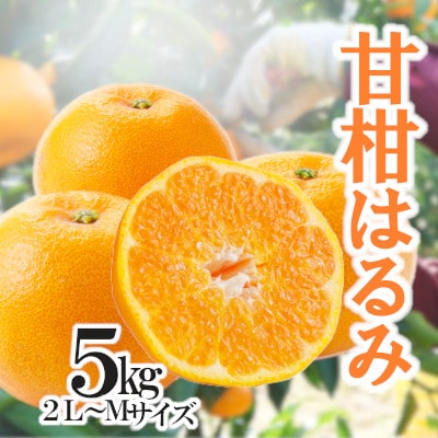 「甘柑はるみ」5kg【C79-24】【1474168】