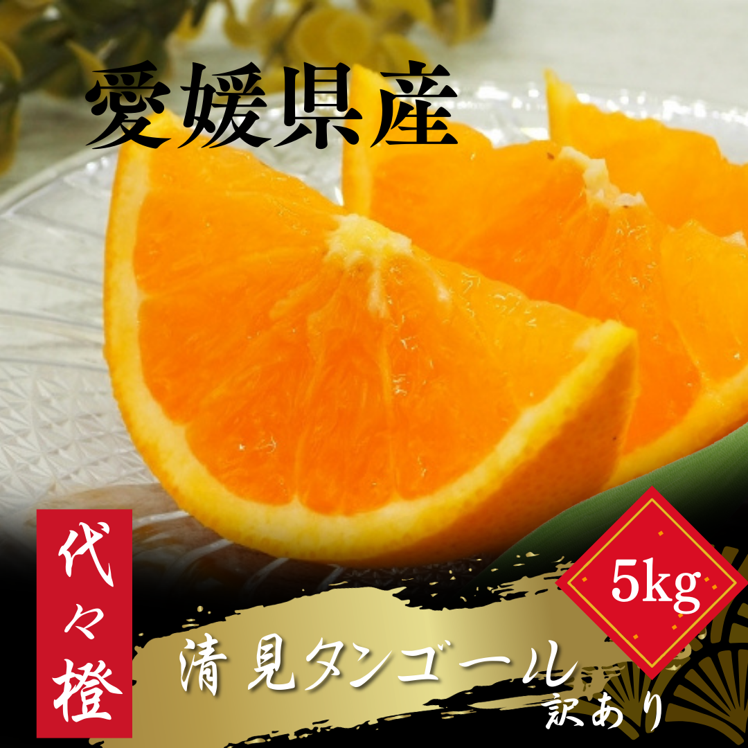 【トロッととろける果実】【訳あり】清見タンゴール 5kg【C83-16】【1549106】 YWTW016