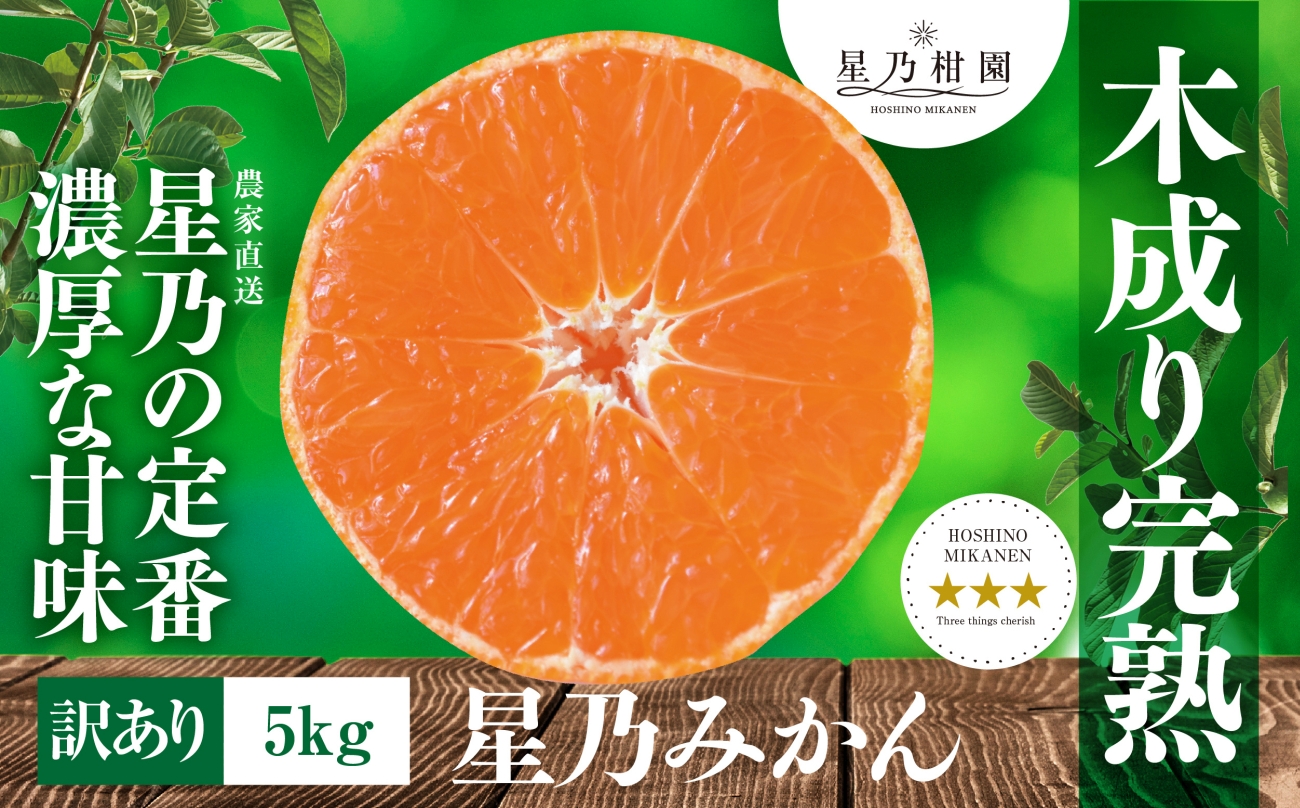 【訳あり】星乃みかん園の星乃みかん(5kg)【A45-98】【1650693】
