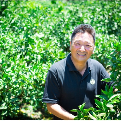 【発送月固定定期便】「蜜時(みつどき)便り」高級3品種　まどんな+甘平+せとか【H64-91】全3回【4069711】