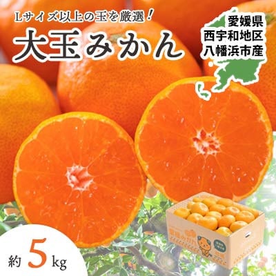 【2025年11月より順次発送】大玉サイズのみ厳選!愛媛みかん5kg【訳あり】【A25-219】【1626146】