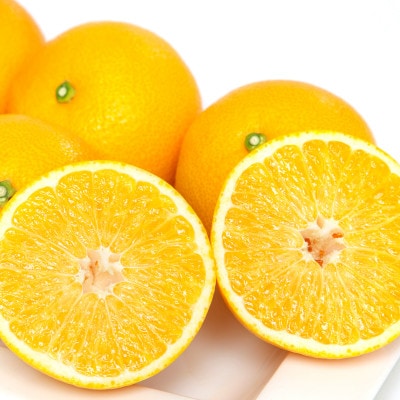 【2026年発送】ぷりぷり!酸味さわやか 八朔(はっさく) 5kg【訳あり】【C25-188】【1609989】