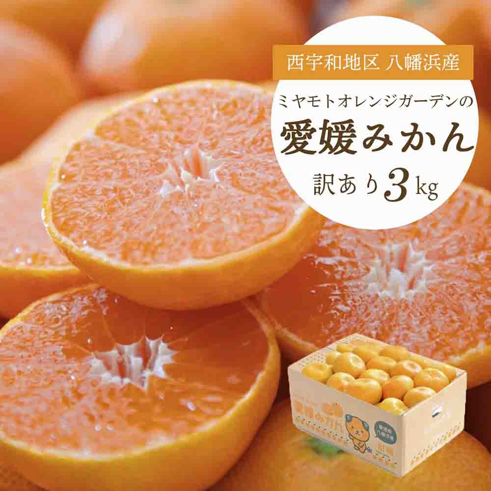 西宇和地区八幡浜産 愛媛みかん3kg【訳あり】【B25-164】【1509982】 YWTAP106
