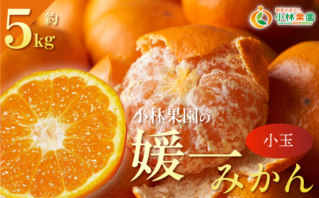 【先行受付】小林果園の媛一みかん【小粒】約5kg【C24-34】 YWTAD025