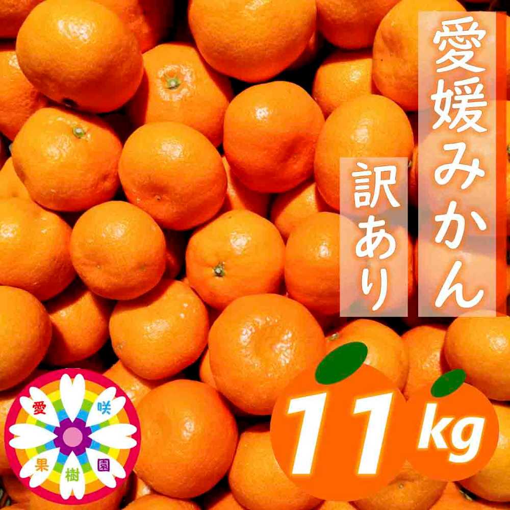 「 愛媛 みかん 」 訳あり 約11kg《 愛咲果樹園 》【D71-7】【1331485】 YWTS007