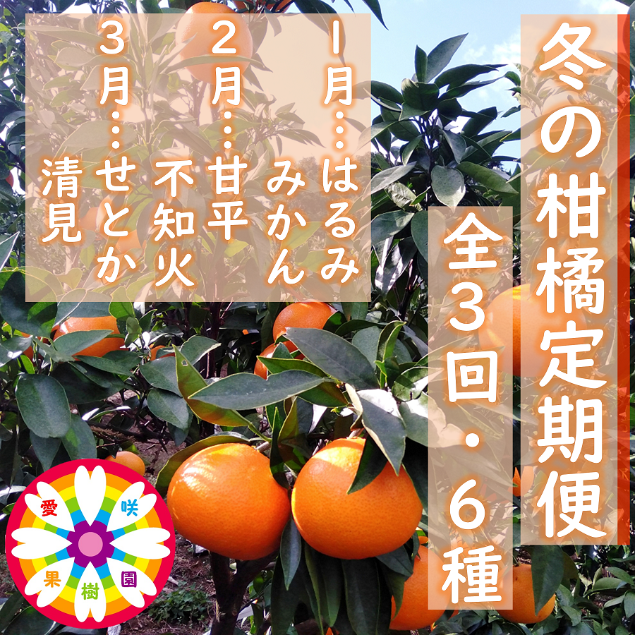縲千匱騾∵怦蝗コ螳壼ョ壽悄萓ソ縲第帛調譫懈ィケ蝨偵悟ャ縺ョ譟第ゥ伜ョ壽悄萓ソ縲(1譛医3譛)蜈ィ3蝗槭色71-20縲代4013391縲 YWTS016