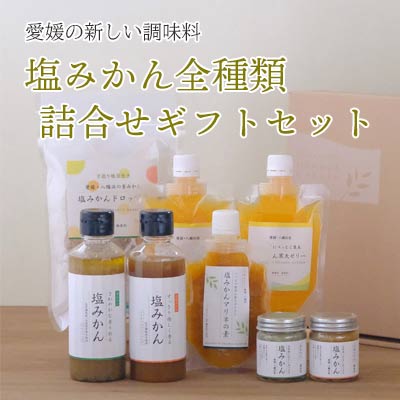 みかんがふわっと香る愛媛の新しい調味料 塩みかん全種詰め合わせセット【D25-81】【1305615】 YWTAP042