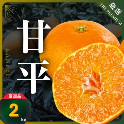 【愛媛限定】驚きの甘さ!幻の柑橘《甘平》2kg(M〜3L玉混合)【D31-55】【1660047】