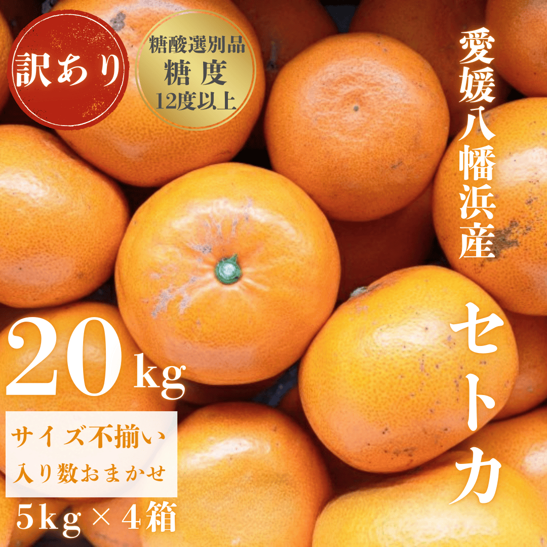 【みかんの大トロ】糖度12.0以上酸1.4以下 糖酸選別品 訳あり愛媛セトカ20kg【H20-76】【1620330】 YWTI071
