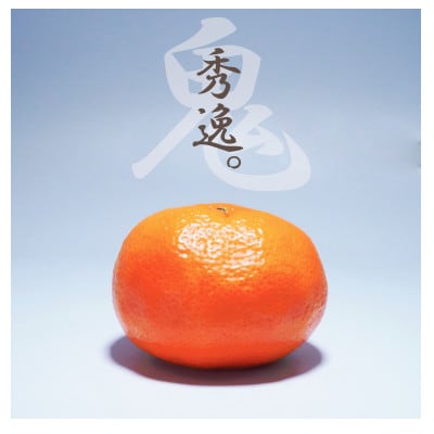 柑橘の鬼たちがつくる八幡浜産・温州みかん8kg[家庭用]【C56-17】【配送不可地域：離島】【1252943】