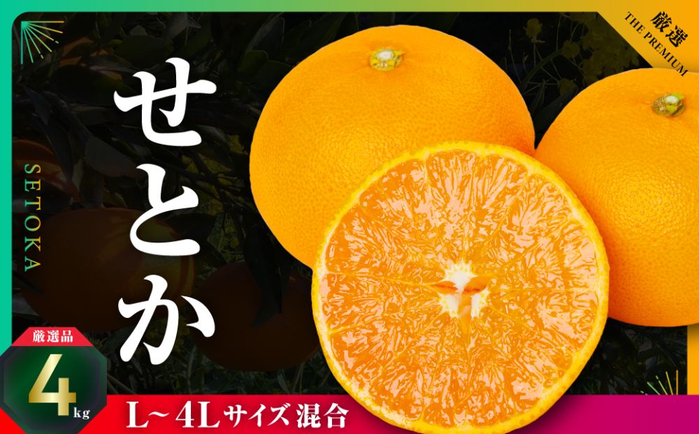 三代目の柑橘の大トロ【せとか】4kg　サイズ:L〜4L混合【E31-52】【配送不可地域：離島】【1631010】 YWTAC041