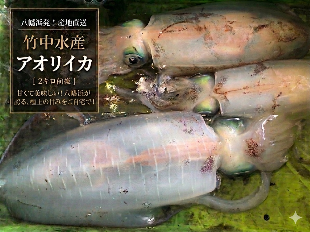 竹中水産のアオリイカ2kg前後!(±100g)【H22-273】【配送不可地域：離島】【1143921】 YWTM090