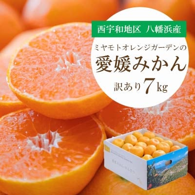 【2025年11月より順次発送】八幡浜産 愛媛みかん7kg【訳あり】【C25-132】【1166251】