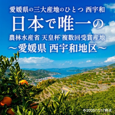最高級みかん 媛皇 媛小春 7kg 愛媛県 八幡浜市 希少な幻の柑橘 黄色【H25-322】【1714067】