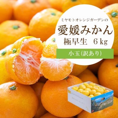 【2025年10月より順次発送】シーズン一番採り!極早生みかん 小玉6kg【訳あり】【C25-47】【1248092】