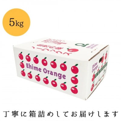 ãç³åºŠ11åºŠä»¥äž é
ž1.0ä»¥äž ç³é
žéžå¥åãæåªã¿ãã 5kgãD20-49ãã1594923ã