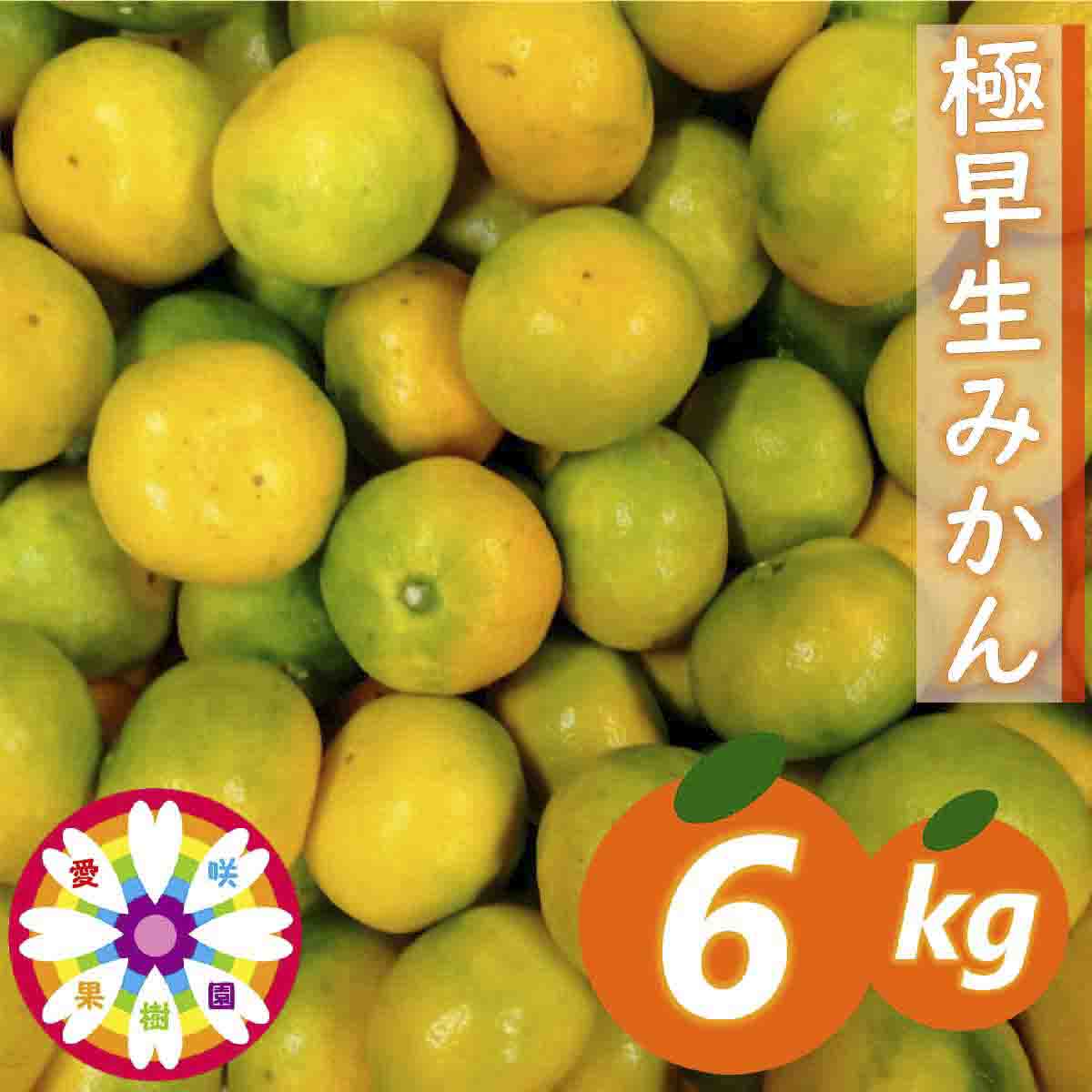 【先行受付】「 極早生 みかん 」約6kg《 愛咲果樹園 》【C71-2】【配送不可地域：離島】【1326990】 YWTS002