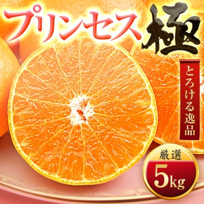 「新品種!!」【甘平×まどんな】愛果48号(紅プリンセスと同品種)【極】5kg【H49-92】【1621804】