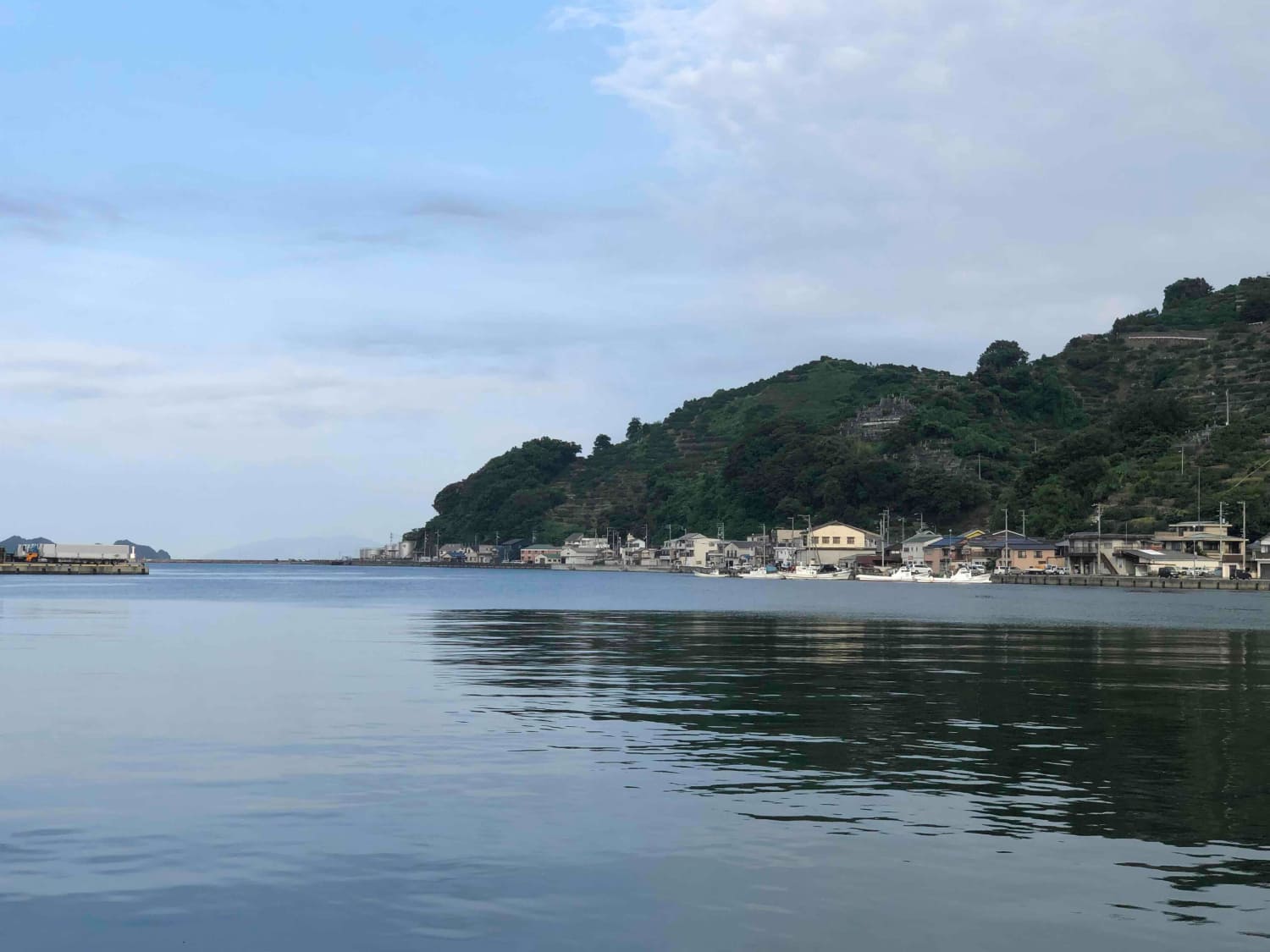 竹中水産の「宇和海産小アジ」約3キロ!【C22-259】【配送不可地域：離島・北海道・沖縄県】【1075511】 YWTM077
