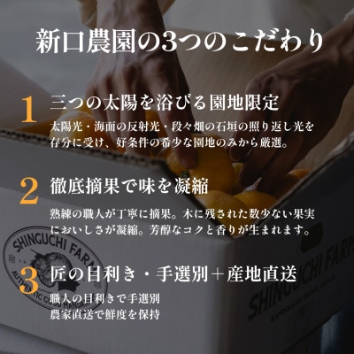 甘夏+河内晩柑 愛媛人気2品種食べ比べ【各2kg】【D70-134】【1684484】