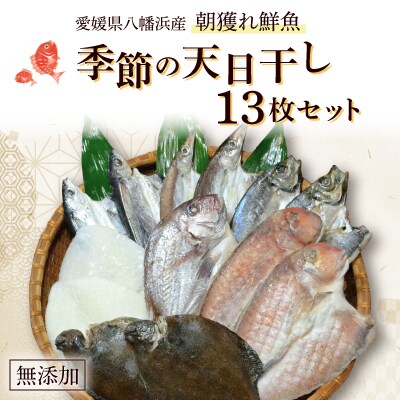 無添加・天日干しピチピチ朝獲れ鮮魚の一夜干し13枚セット【H26-4】【配送不可地域：離島】【1044325】