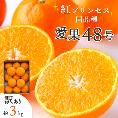 【2026年発送】「紅プリンセス」と同品種!愛媛果試48号 3kg【訳あり】【E25-174】【1600644】