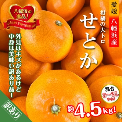 2026年2月発送開始　柑橘の大トロ!「せとか」約4.5キロ限定300個【訳あり品】【D39-52】【1464339】