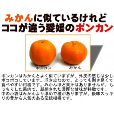 愛媛県産ポンカン10kg【訳あり】【D35-14】【配送不可地域：離島・北海道・沖縄県】【1492242】